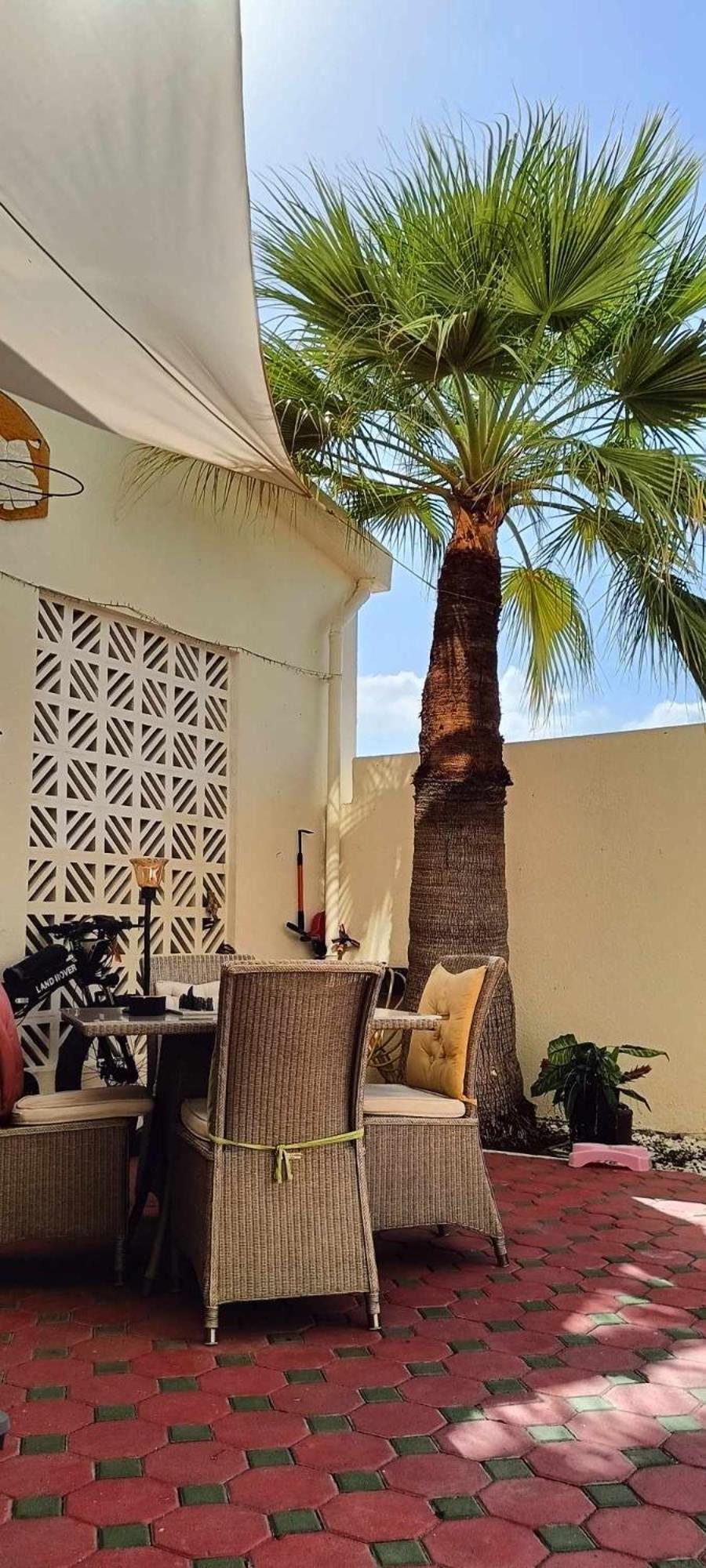 דובאי Jumeirah Beach Villa מראה חיצוני תמונה